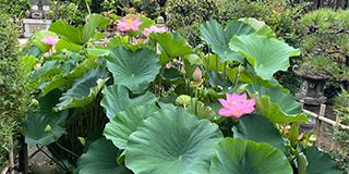 お盆
