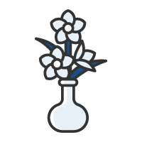 ⽣花関係